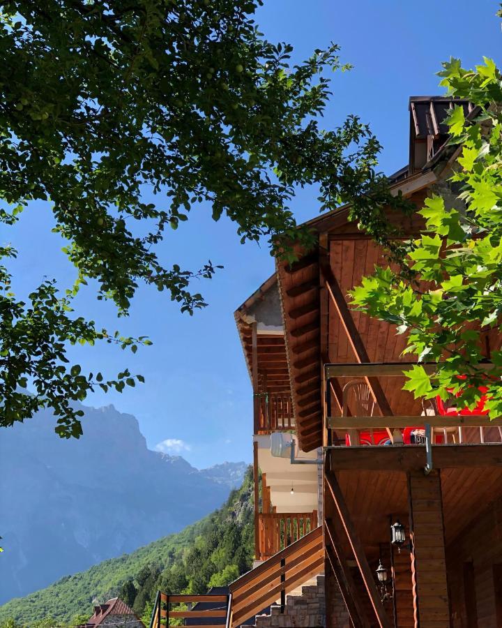 Auberge de jeunesse Pashko *